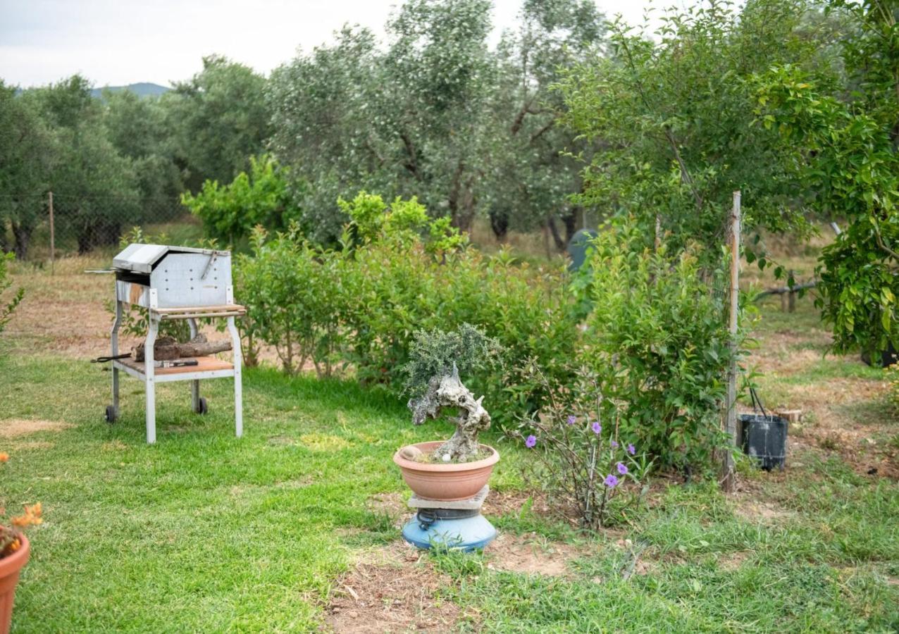 דירות Ormília Agrikia Tis Vasilikis מראה חיצוני תמונה
